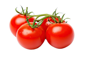 Cherry tomato isolated on white background