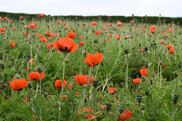 Circumnavigating Hokkaido in early spring