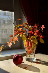 autumn still life with leaves and red apple