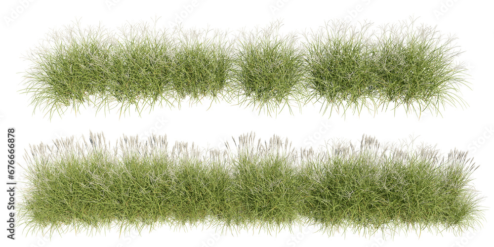Poster set of grass, 3d rendering with transparent background