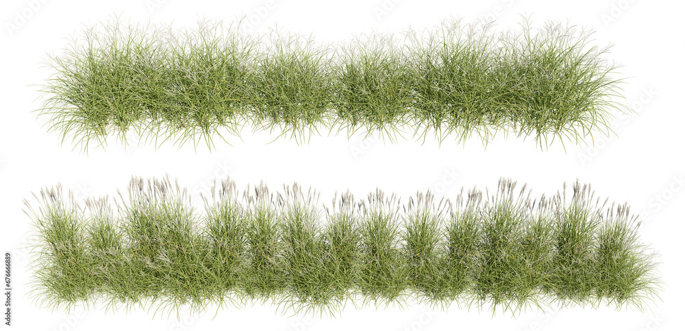 Aufkleber set of grass, 3d rendering with transparent background