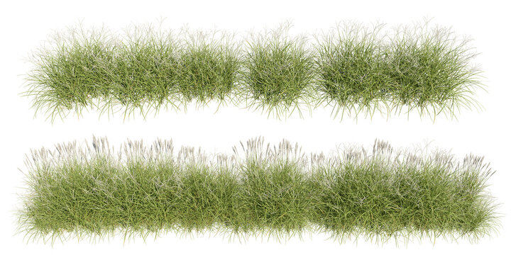 set of grass, 3D rendering with transparent background