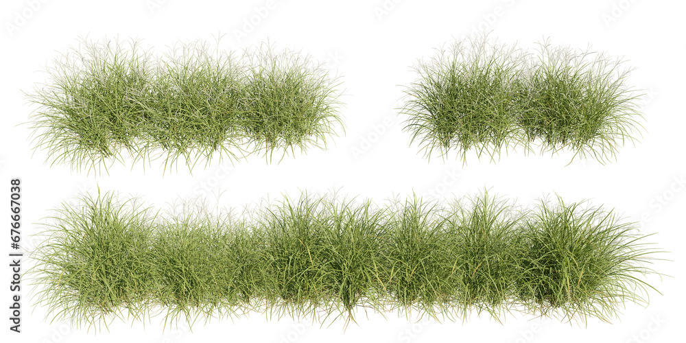 Poster set of grass, 3d rendering with transparent background