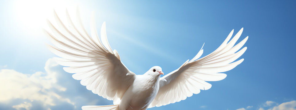 white dove in the sky, AI generated