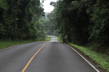 Obraz premium road in the woods