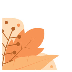 Aesthetic Plant Corner