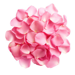 Blush Pink Rose Petals Cluster