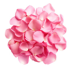 Obraz premium Blush Pink Rose Petals Cluster