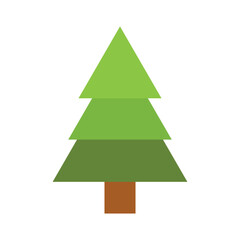 Plain Pine Tree