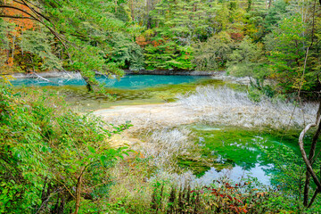 初秋の五色沼群　青沼　福島県北塩原村　Goshikinuma in early autumn. Blue Swamp. Fukushima Pref, Kitashiobara Village.