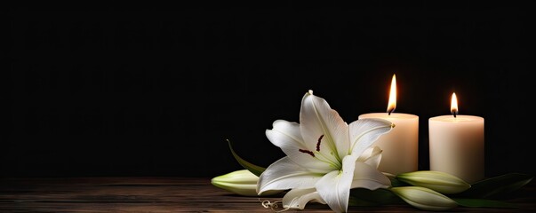 White candle. Eternal elegance. Delicate lily blossom in dark contrast. Botanical harmony. Blooming in composition of beauty. Spring serenity. Bright flower in nature embrace