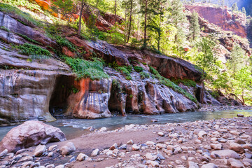 Fototapeta premium Zion National Park, Utah, USA, narrowing trail. Beautiful scenery, primeval nature, views of incredibly picturesque cliffs and mountains. Concept, tourism, travel, landmark