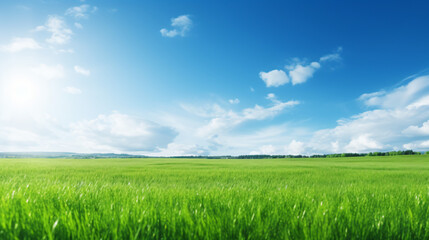Fototapeta na wymiar Beautiful panoramic natural landscape of a green