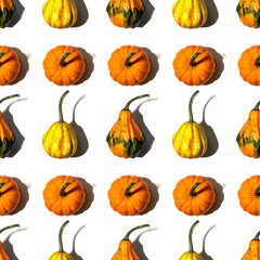 seamless pattern different pumpkins on a white background