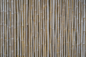 bamboo wall as design background