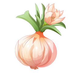 illustration of onion