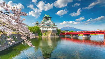 Cherry blossoms and castle in spring, Himeji, Japan
