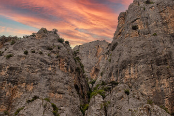 The side of a large rocky cliff on a spring day