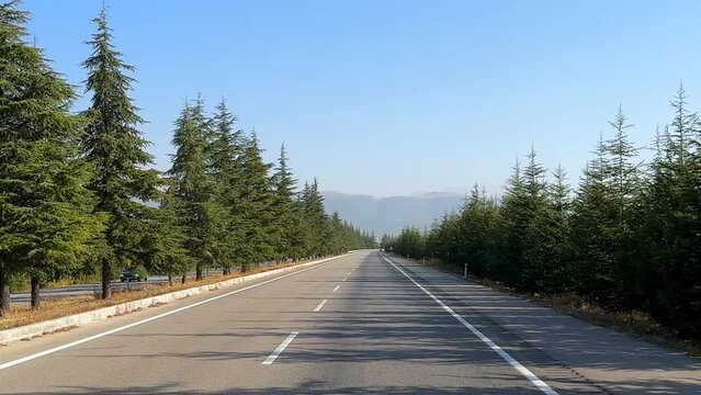 Afforestation and landscaping on the roadsides and a pleasant journey while driving