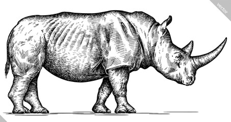Vintage engraving isolated rhinoceros set illustration ink sketch. Africa background rhino silhouette art. Black and white hand drawn vector image © Turaev