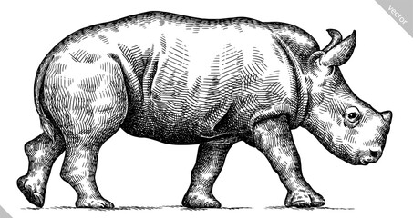 Vintage engraving isolated rhinoceros set illustration ink sketch. Africa background rhino silhouette art. Black and white hand drawn vector image - obrazy, fototapety, plakaty