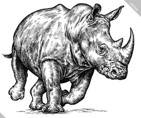 Vintage engraving isolated rhinoceros set illustration ink sketch. Africa background rhino silhouette art. Black and white hand drawn vector image © Turaev