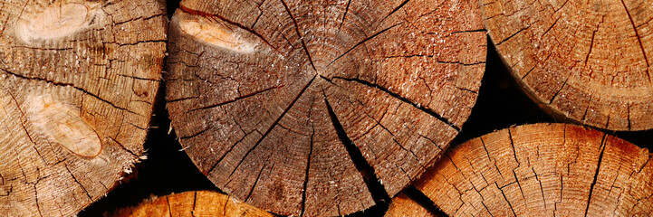 Woodpile pattern or texture. Round cuts of wood in natural light. Concept for background, wallpaper, or design element with copy space for your text or logo. Banner with copy space.