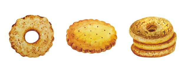 Watercolor set of hand drawn elements of cookies