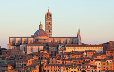 Bell Tower and Cathedral of Siena in Tuscany at sunset - obrazy, fototapety, plakaty