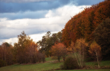 autumn landscape in the countryside
