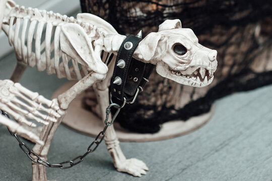 Party decoration spooky dog skeleton for halloween holiday