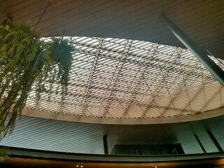 fish on the roof