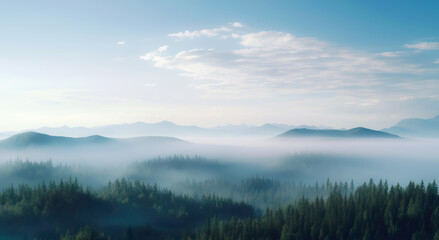 foggy landscape with sky and deep forest environment