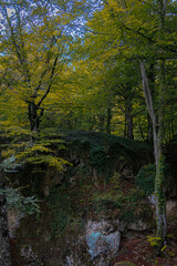 Naklejka premium Route through the Source of Urederra. Navarre. Spain