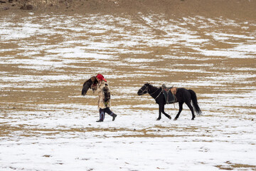 Male hunter and his horse with his back to the camera trains a golden eagle. Eagle hunters are...