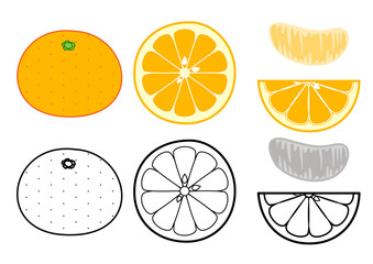 Mandarine icon set with white background.