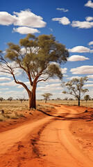 Fototapeta na wymiar landscape with trees in the savannah