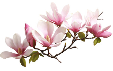 Digital Realism in Mystic Magnolia Imagery on a Clear Surface or PNG Transparent Background.