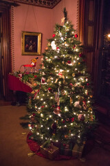 Fototapeta na wymiar Christmas Tree 