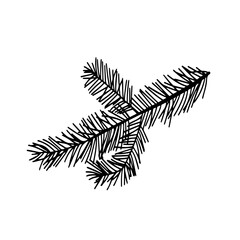 Doodle pine branch tree isolated on white background. element for bouquets. Branches greenery elements of plant on white background. Merry christmas, happy new year.