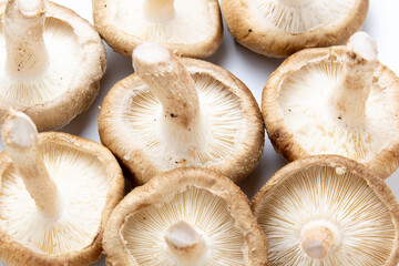 椎茸(生しいたけ)を傘の裏側(襞(ひだ)のある方)から。
