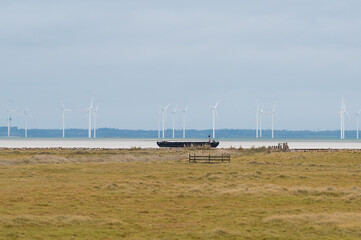 Nordsee Salzwiesen Windräder
