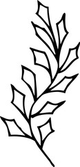 Hand Drawn Botanical Leaf Line Art