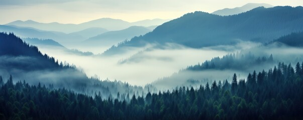 Fog conceals details of mountains with trees inviting greater sense of wonder with mystery. Misty shroud wrapped around rugged mountains and forest casting veil of secrecy over landscape.