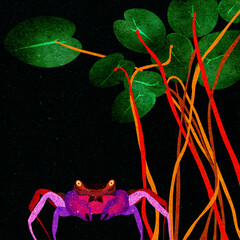 Ilustracja kolorowy krab na dnie oceanu roślinność wodna.