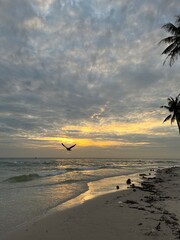 sunset on the beach