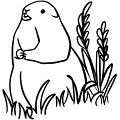 Isolated groundhog cartoon hand drawing, happy groundhog day