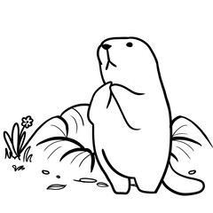 Isolated groundhog cartoon hand drawing, happy groundhog day