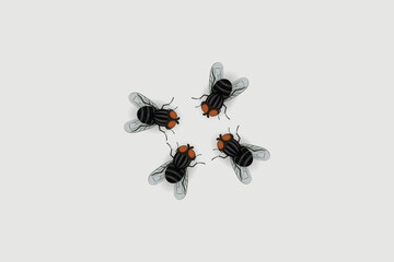 fly vector illustration eps 10