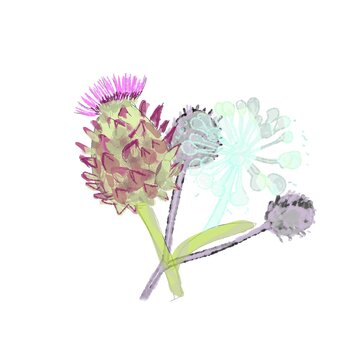 Milk thistle and thorns sketch, floral clipart